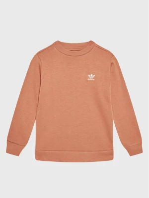 adidas Bluza IC6139 Beżowy Regular Fit