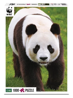ambassador 1000-częściowe puzzle "Pandas" - 12+ rozmiar: onesize