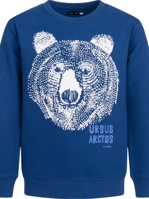 Bluza dla chłopca z niedźwiedziem, niebieska 9-13 lat Endo