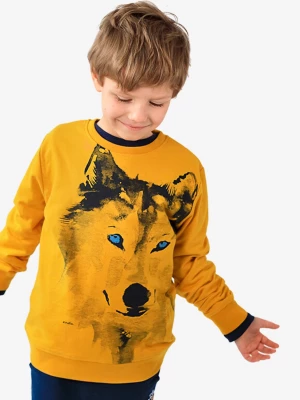 Bluza dla chłopca z wilkiem, musztardowa 3-8 lat Endo