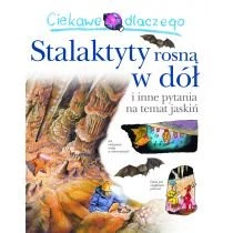 Ciekawe dlaczego stalaktyty rosną w dół Wydawnictwo Olesiejuk