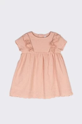 Coccodrillo sukienka bawełniana niemowlęca kolor różowy mini rozkloszowana