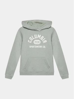 Columbia Bluza Trek™ Hoodie Szary Regular Fit