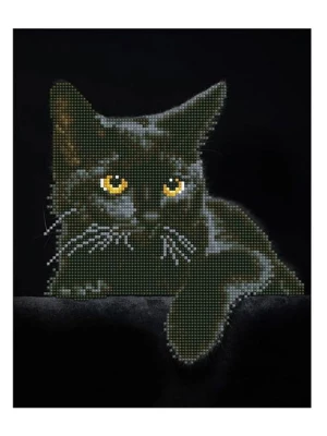 DIAMOND DOTZ Zestaw kreatywny "Diamond Painting Black Cat" - 4+ rozmiar: onesize