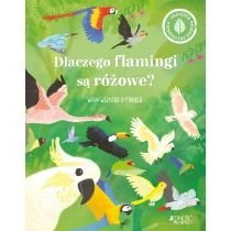 Dlaczego flamingi są różowe? Wiem wszystko o ptakach. Akademia małego przyrodnika Jedność