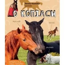 Dorota Kozińska opowiada o koniach Multico