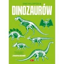 Encyklopedia dinozaurów Dragon