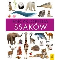 Encyklopedia ssaków Foksal