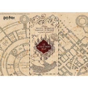 Fototapeta dla dzieci Harry Potter Marauders Map252 x 182 cm, 4 części 4-Home