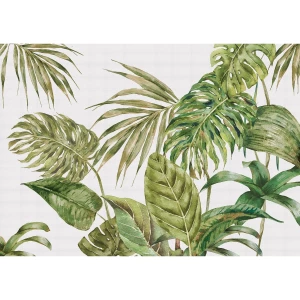 Fototapeta XXL Fern 360 x 254 cm, 4 części 4-Home