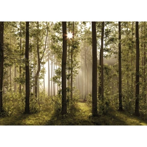 Fototapeta XXL Forest 360 x 254 cm, 4 części 4-Home