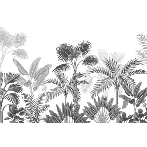 Fototapeta XXL Jungle 360 x 254 cm, 8 części 4-Home