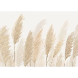 Fototapeta XXL Pampas 360 x 254 cm, 4 części 4-Home