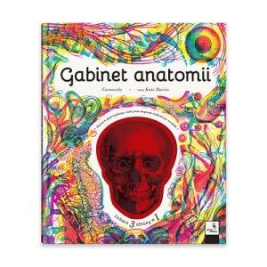 Gabinet anatomii wyd. 2 Dwie siostry