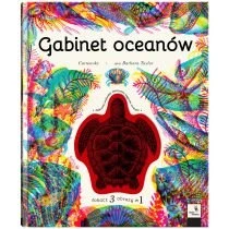 Gabinet oceanów Dwie Siostry