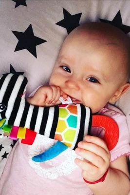Gryzak z piszczałką kontrastowy MOM'S CARE