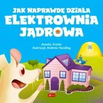 Jak naprawdę działa elektrownia jądrowa Dragon