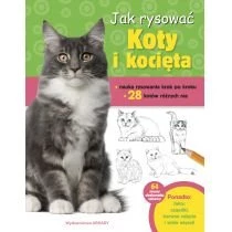 Jak rysować Koty i kocięta Wydawnictwo Arkady