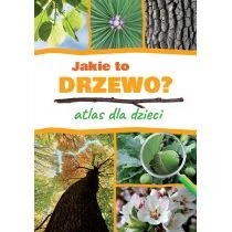 Jakie to drzewo? Atlas dla dzieci SBM