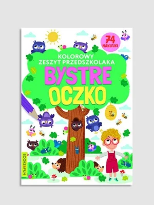 "Kolorowy zeszyt przedszkolaka. Bystre oczko" książka z zadaniami i naklejkami BOOKS AND FUN