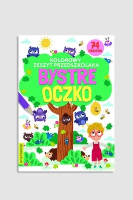 "Kolorowy zeszyt przedszkolaka. Bystre oczko" książka z zadaniami i naklejkami BOOKS AND FUN