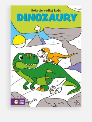 "Koloruję według kodu. Dinozaury" książka z zadaniami ZIELONA SOWA