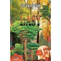 Lasy encyklopedia Arti