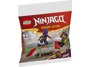 LEGO 30675 Ninjago Spotkanie z małym gorylem Lego