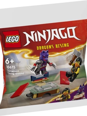LEGO 30675 Ninjago Spotkanie z małym gorylem Lego