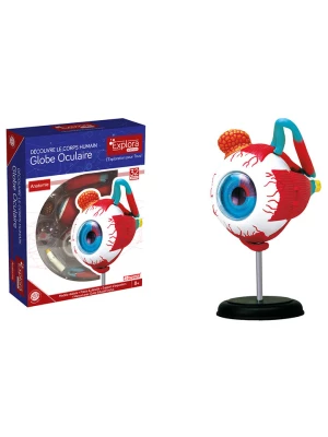 MGM Model edukacyjny "Oko" - 8+ rozmiar: onesize