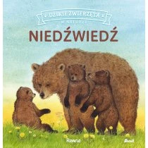 Niedźwiedź. Dzikie zwierzęta w naturze Debit