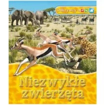 Niezwykłe zwierzęta Muza