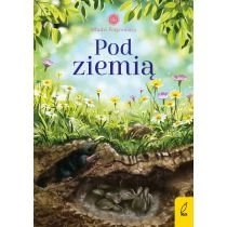 Pod ziemią. Młodzi Przyrodnicy Wilga