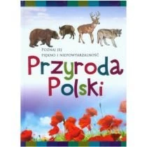Przyroda Polski. Poznaj jej piękno i niepowtarzalność Damidos