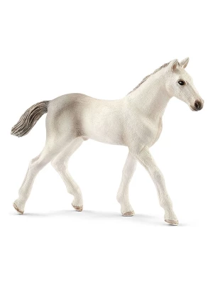 Schleich Figurka "Holsteiner foal" do zabawy - 3+ rozmiar: onesize
