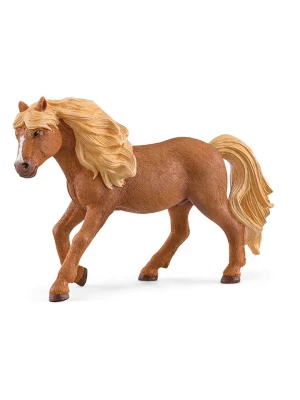 Schleich Figurka "Island Pony stallion" do zabawy - 3+ rozmiar: onesize