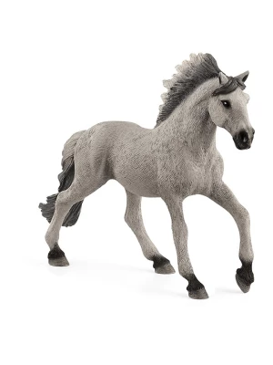 Schleich Figurka "Sorraia Mustang Stallion" do zabawy - 3+ rozmiar: onesize