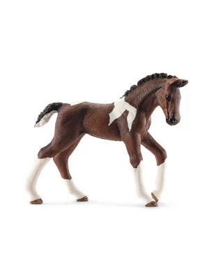 Schleich Figurka "Trakehner Foal" - 5+ rozmiar: onesize