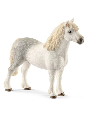 Schleich Figurka "Welsh pony stallion" do zabawy - 3+ rozmiar: onesize