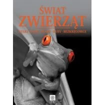 Świat Zwierząt. Ptaki, Gady, Płazy Dragon