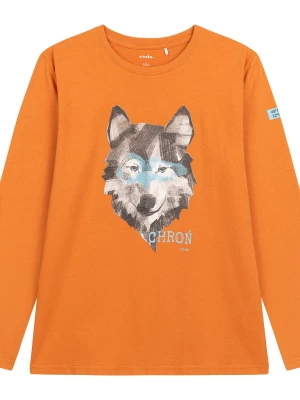 T-shirt z długim rękawem dla chłopca, z wilkiem, pomarańczowy 9-13 lat Endo