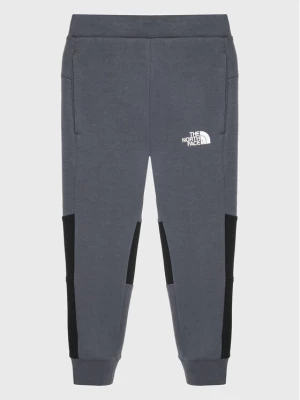 The North Face Spodnie dresowe NF0A7X3X Szary Regular Fit