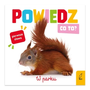 W parku. Powiedz co to? Wilga