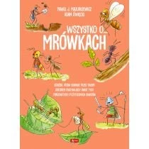 Wszystko o&hellip; mrówkach Dragon